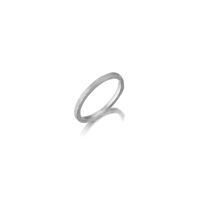 Single Pieces Collection - Magnetite Silver Ring (1)
