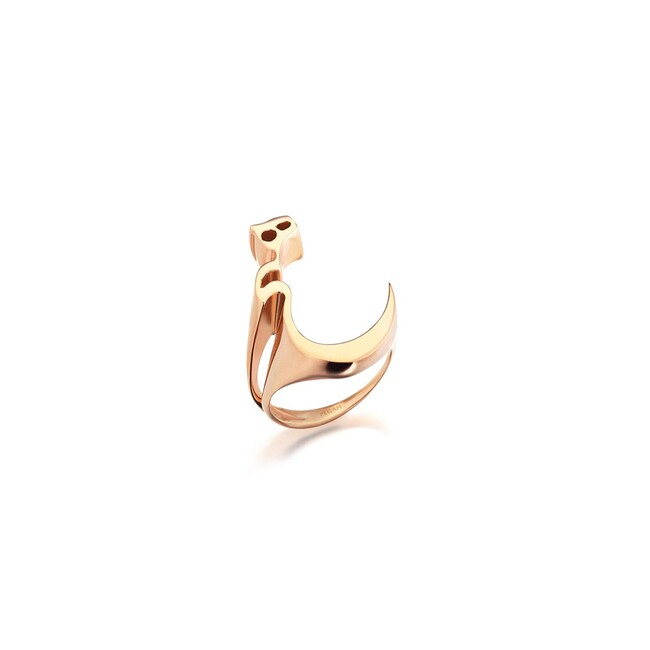 Rumi Collection - Small Rumi Heech Ring (1)